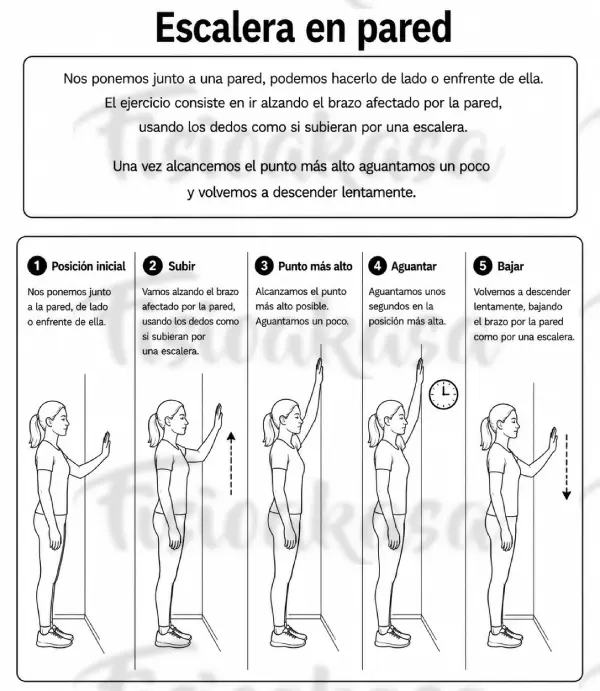 ESCALERA PARED
